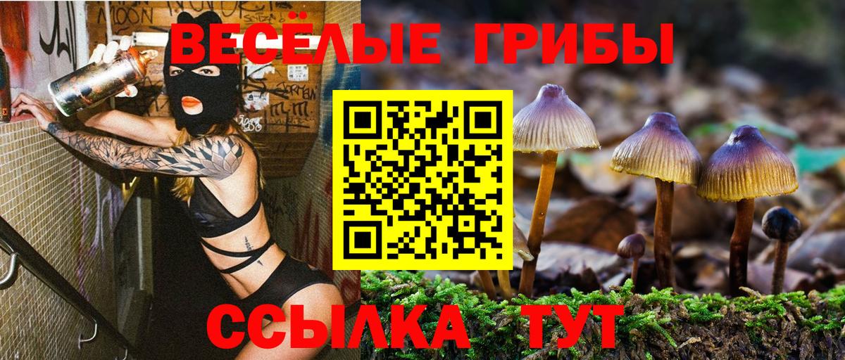 Алексин  Псилоцибиновые грибы MAGIC MUSHROOMS  Вход с VPN 