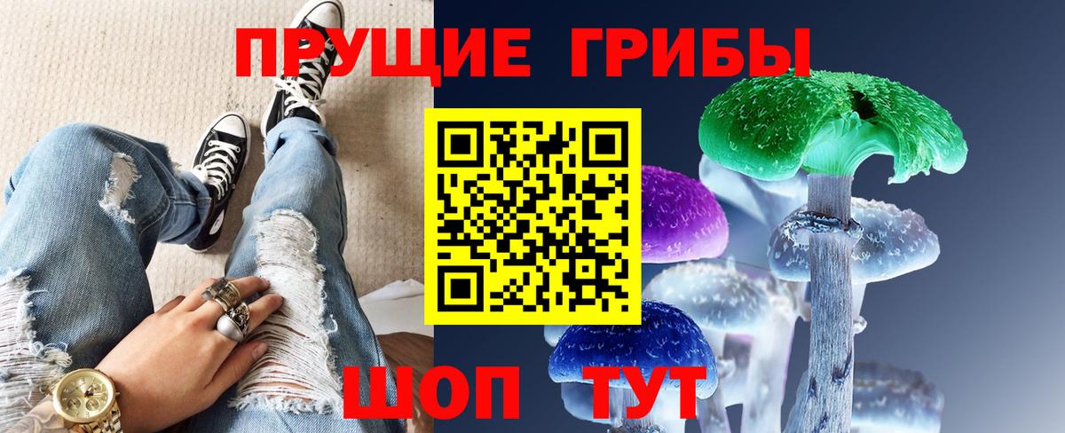 Псилоцибиновые грибы Psilocybine cubensis Алексин