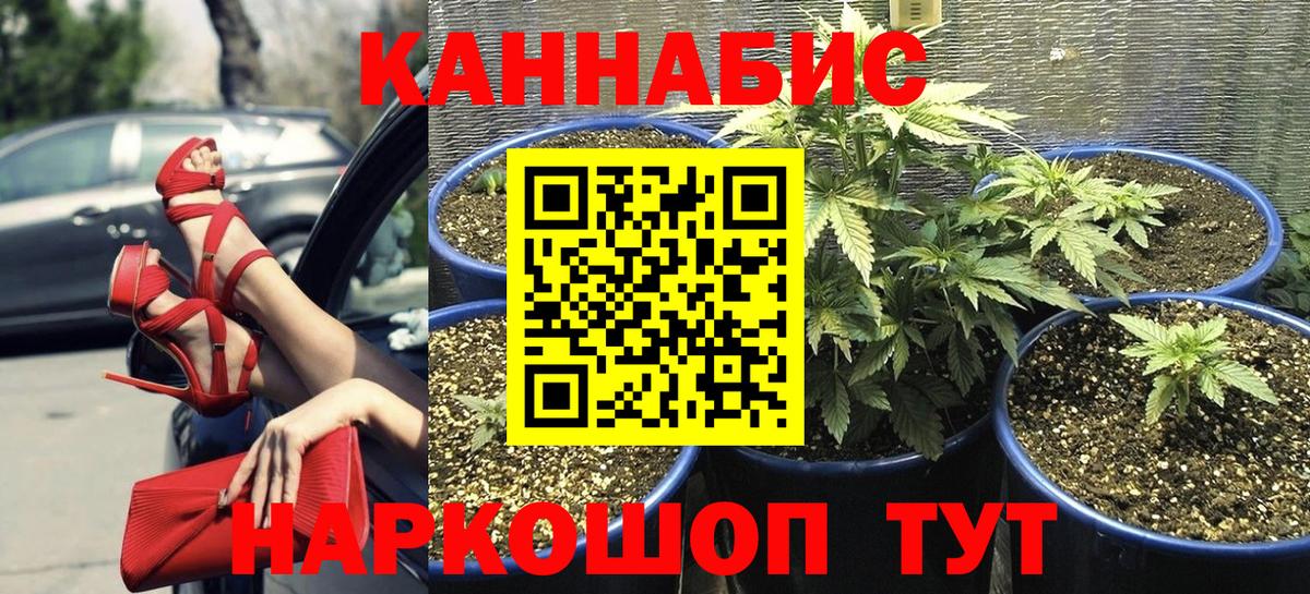 Бошки марихуана гибрид Алексин